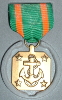 Navy Achievement Medal